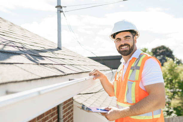 Best Roof Gutter Cleaning  in Vernon Hls, IL