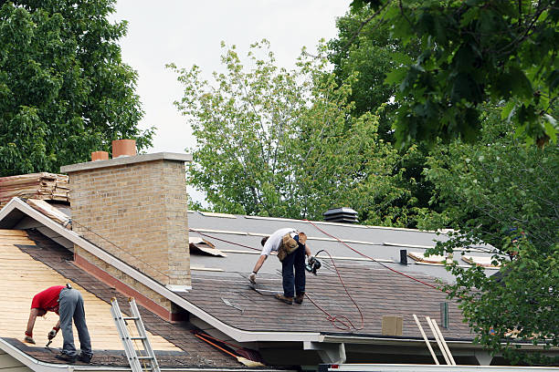 Best Storm Damage Roof Repair  in Vernon Hls, IL